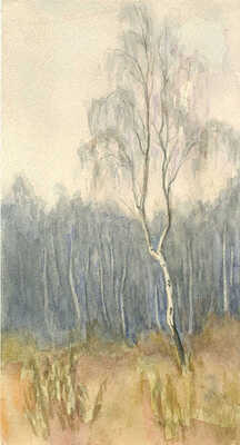 Морозов Константин Феофанович. Берёза 